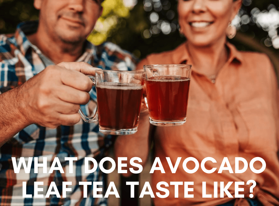 What Does Avocado Leaf Tea Taste Like?