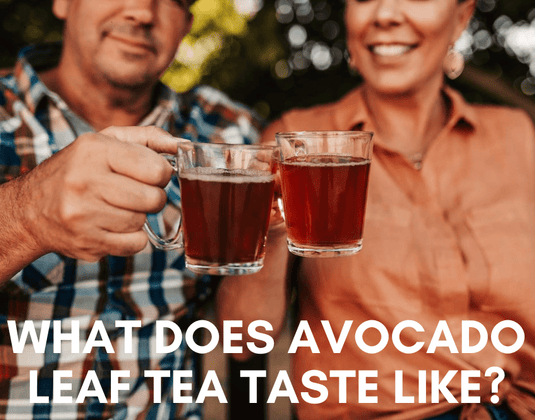 What Does Avocado Leaf Tea Taste Like?