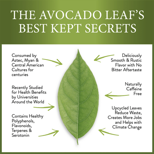 2 Pack Avocado Leaf Tea Black Tea Blend - Avocado Tea Co.