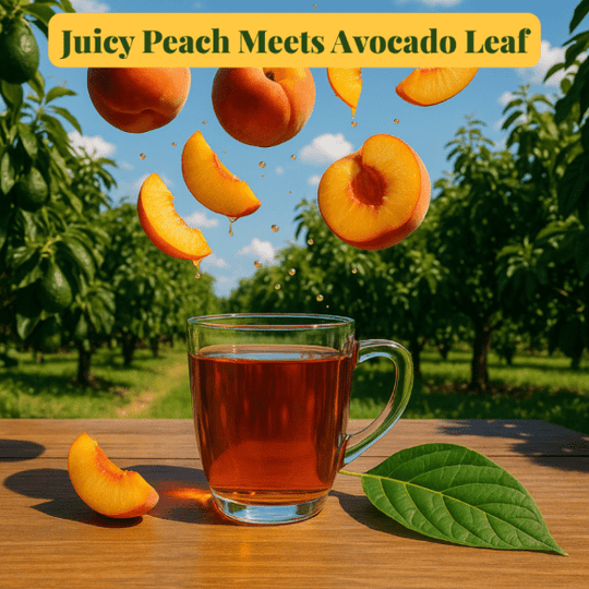 2 Pack Avocado Leaf Tea Peach Blend - Avocado Tea Co.