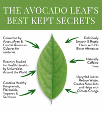 2 pack Avocado Natural Leaf - Avocado Tea Co.