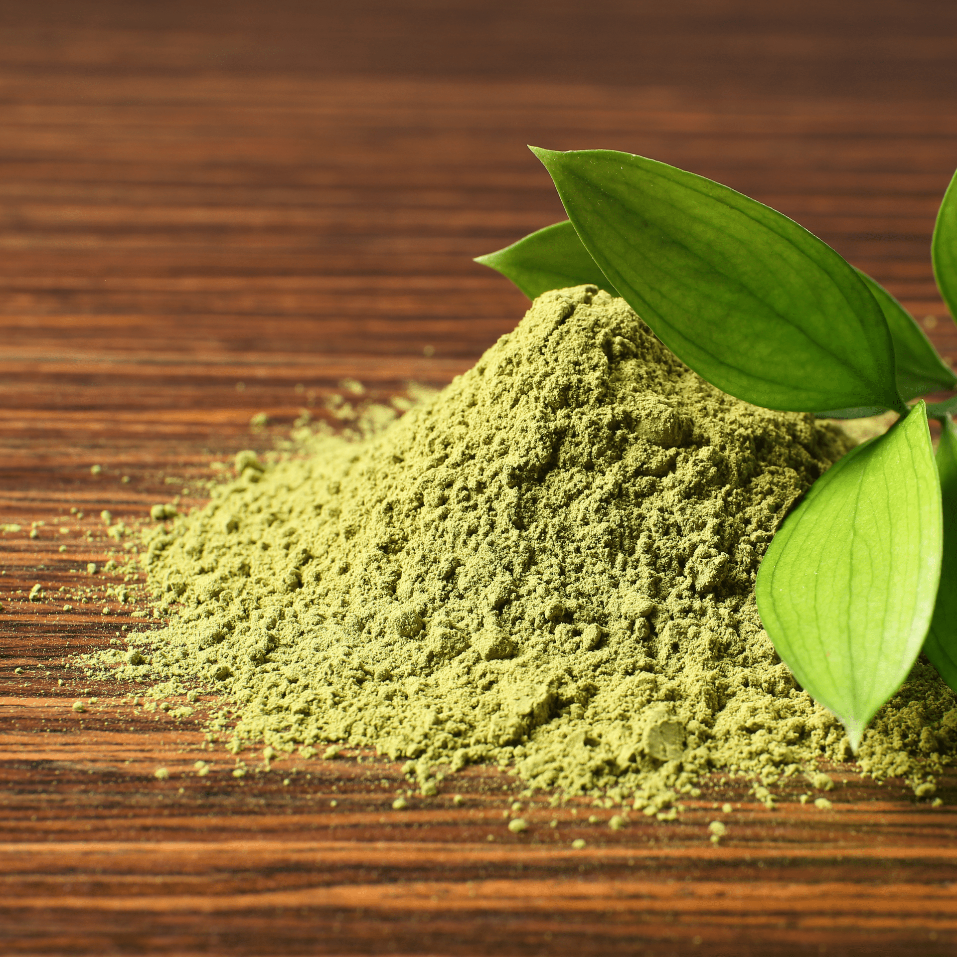 AvoShot on table looks like matcha powder, avocado leaf, caffeine free, all natural, wellness tea, antioxidant tea
