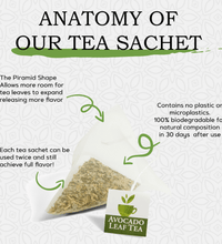 The anatomy of our avocado leaf tea sachet, 100% biodegradable sachets with no microplastics, pyramid shape for full flavor