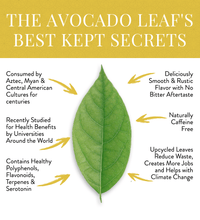 2 Pack Avocado Leaf Tea Lemon Blend - Avocado Tea Co. benefits of the avocado leaf, aquacate tea, wellness beverage,