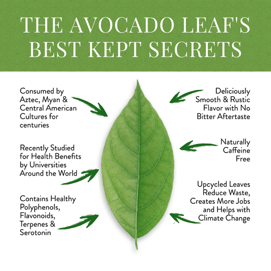 The best kept secrets of the avocado leaf, healthy, beneficial, delicious, Drank for centuries for natural health benefits