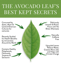 2 Pack Avocado Leaf Tea Natural - Avocado Tea Co., healthy avocado leaf, gut health, kidney health, heart healthy tea