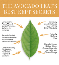 Healthy avocado leaf, benefits of avocado leaf, antioxidants in avocado leaf, longevity leaf, wellness tea, functional drink