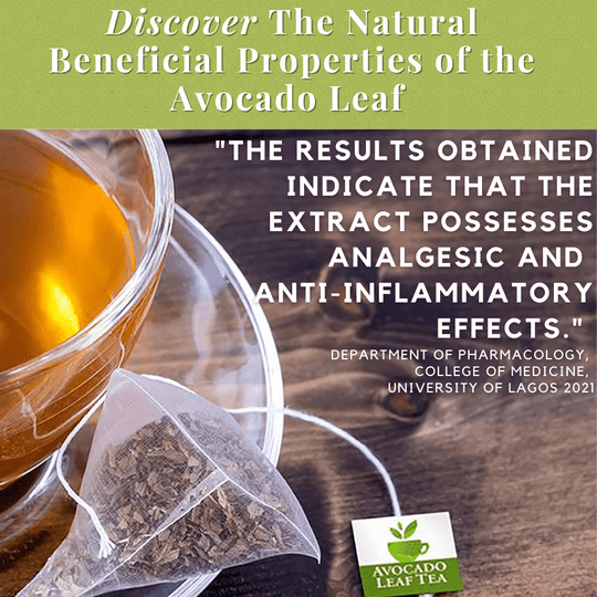 8 Pack Chamomile Blend - Wellness Box Refill - Avocado Tea Co.