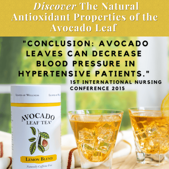 antioxidants in the avocado leaf along with lemon blend tea