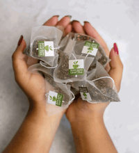 8 Pack Lemon Blend - Wellness Box Refill - Avocado Tea Co.