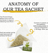 8 Pack Lemon Blend - Wellness Box Refill - Avocado Tea Co.