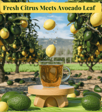 8 Pack Lemon Blend - Wellness Box Refill - Avocado Tea Co.