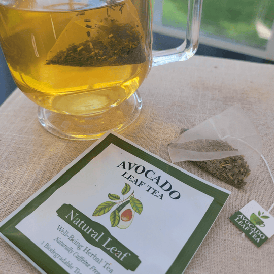 8 Pack Natural Leaf - Wellness Box Refill - Avocado Tea Co.