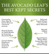Avocado Leaf Tea Black Tea Blend - Avocado Tea Co., avocado leaf, health benefits, Drank for centuries, high in antioxidants