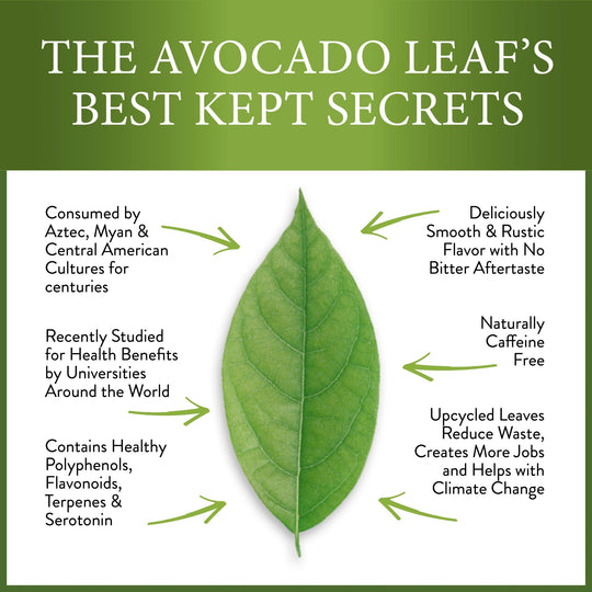 Avocado Leaf Tea Black Tea Blend - Avocado Tea Co., avocado leaf, health benefits, Drank for centuries, high in antioxidants