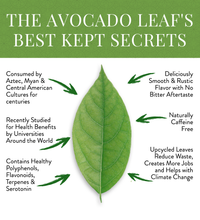 The avocado leafs best kept secrets, naturally caffeine free, healthy polyphenols, drank by aztecs and Myans.