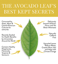 The avocado leafs best kept secrets, naturally caffeine free, healthy polyphenols, drank by aztecs and Myans. Upcycled leaves to help climate change.