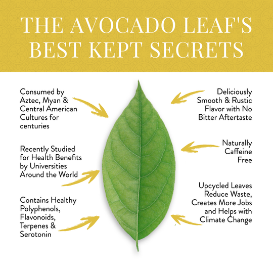 The avocado leafs best kept secrets, naturally caffeine free, healthy polyphenols, drank by aztecs and Myans. Upcycled leaves to help climate change.