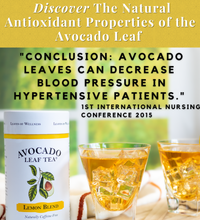 Avocado Leaves decrease blood presser and help hypertension