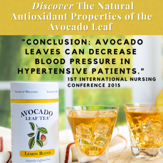 Avocado Leaves decrease blood presser and help hypertension