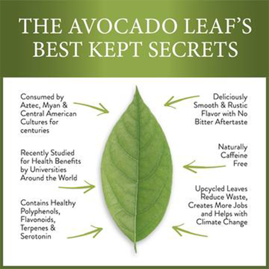 Avocado leaves hot sale