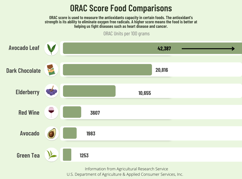 ORAC score for avocado leaf, antioxidant tea, beneficial to immune system, best tasting tea, healthiest tea you can buy