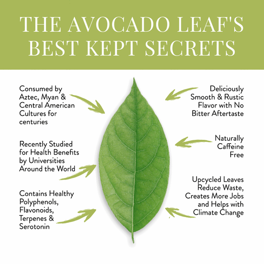 Avocado Leaf Chamomile Blend - Avocado Tea Co.