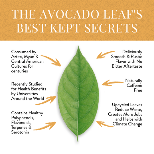 Avocado Leaf Tea Peach Blend - Avocado Tea Co.
