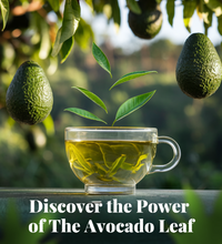 cup with leaves and avocados