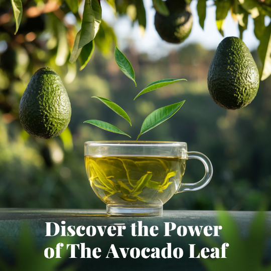 cup with leaves and avocados