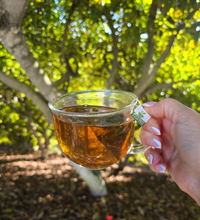 avocado leaf tea in grove
