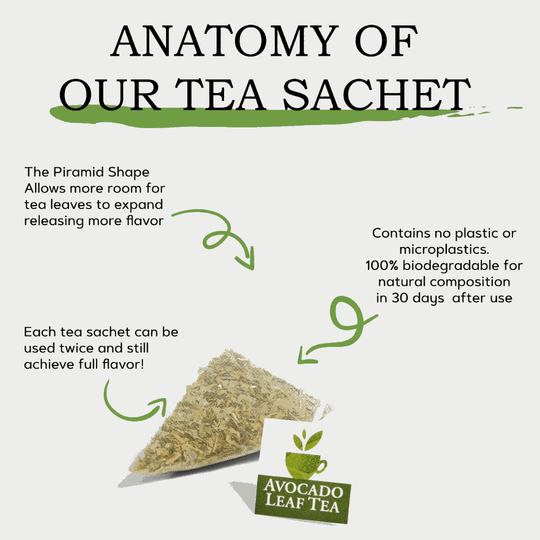 Wellness Tea Variety Gift Box Set - 32 Ct. - Limit 1 per order - Avocado Tea Co.