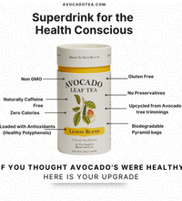 Avocado Leaf Tea Lemon Blend - Avocado Tea Co., health conscience tea, longevity, super drink